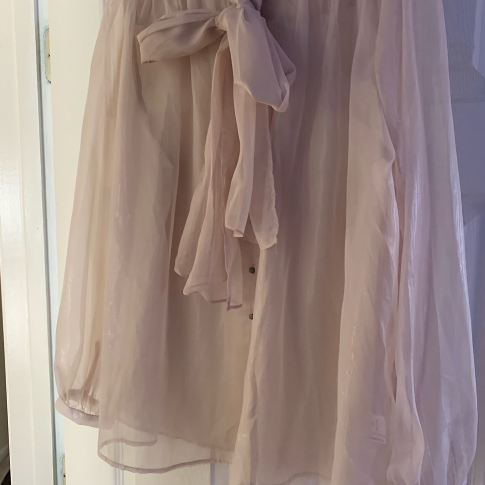 Sheer blouse - Picture 2 of 3